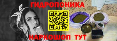 apvp Кунгур