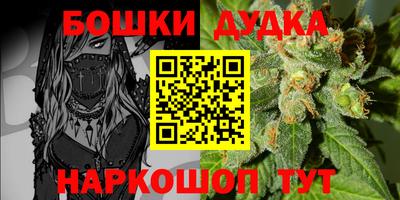 apvp Кунгур